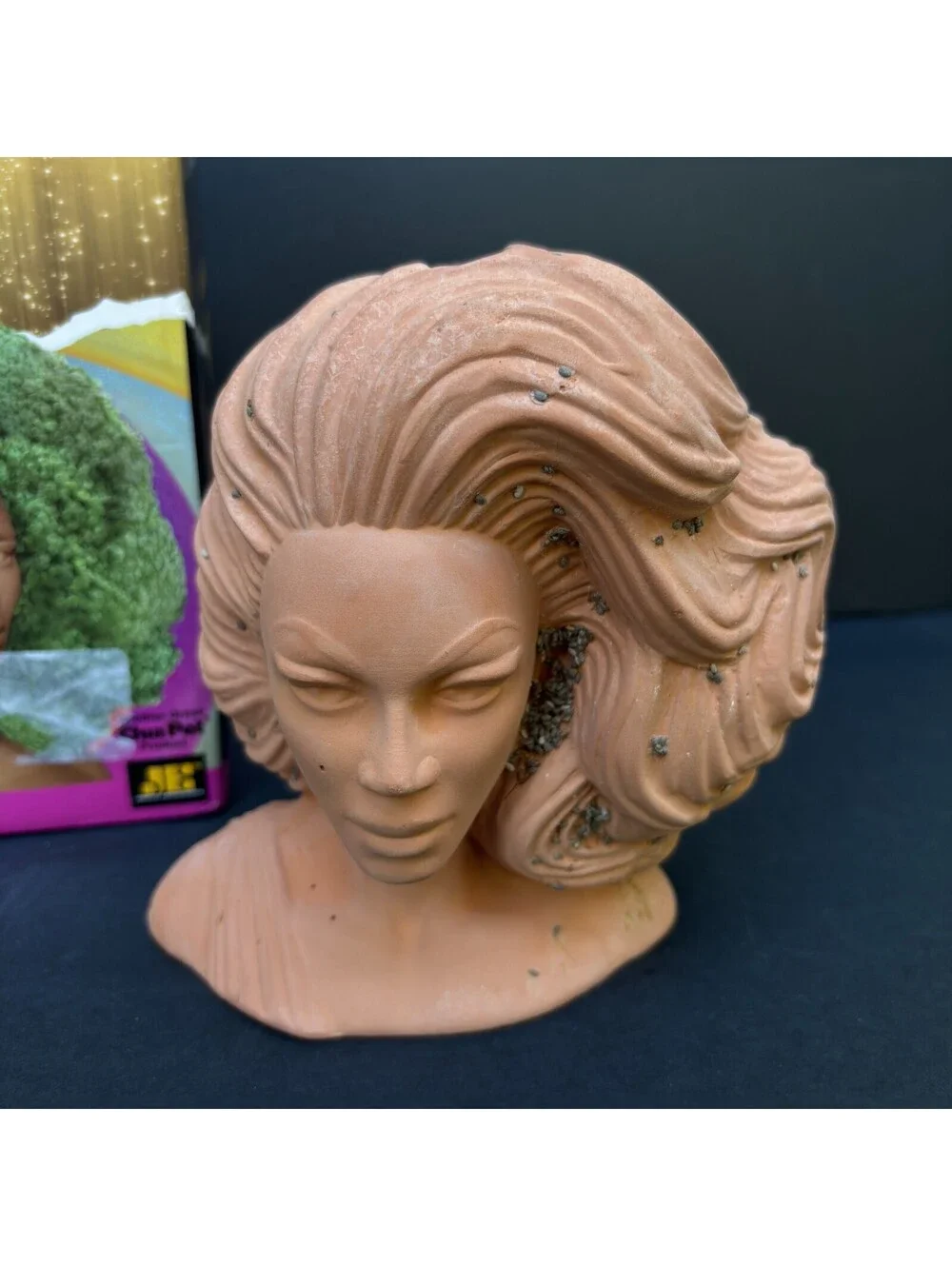 RuPaul Drag Queen Chia Pet Bust, Limited, Decorative Planter Gift